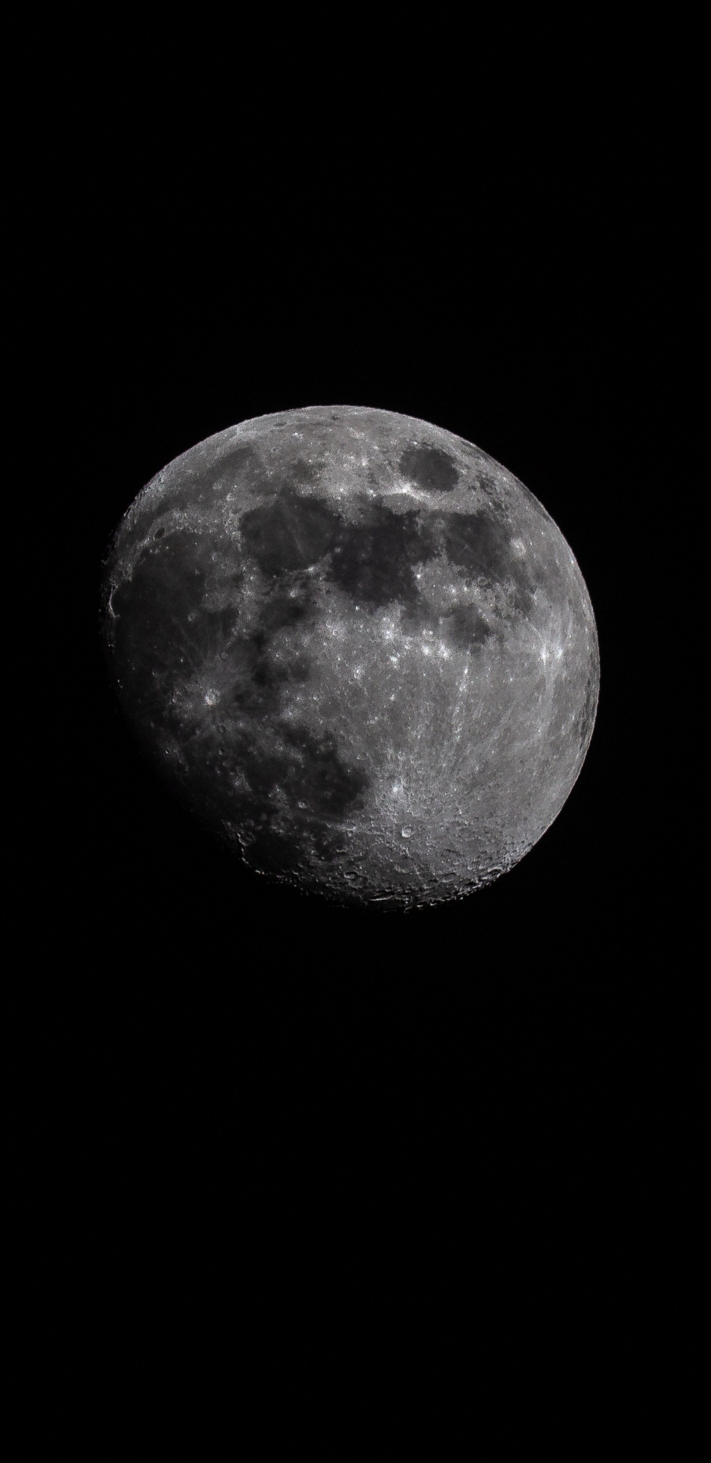 Обои луна, черный, астрономический объект, атмосфера, небесное явление в разрешении 1440x2960