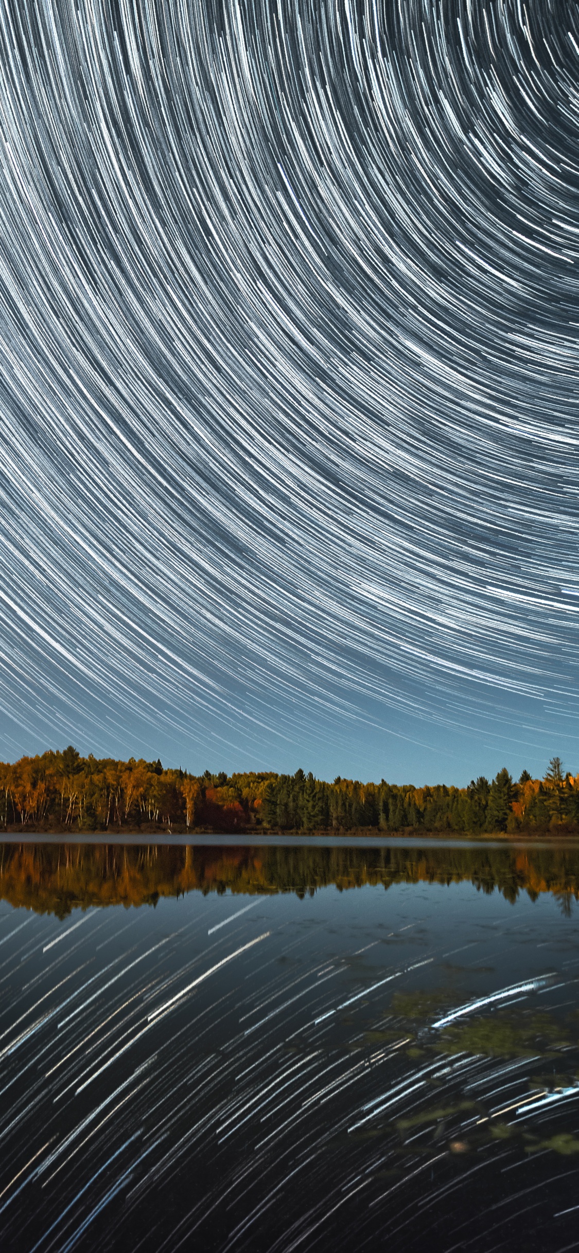 Обои дерево, линия, ночь, облако, природа в разрешении 1125x2436