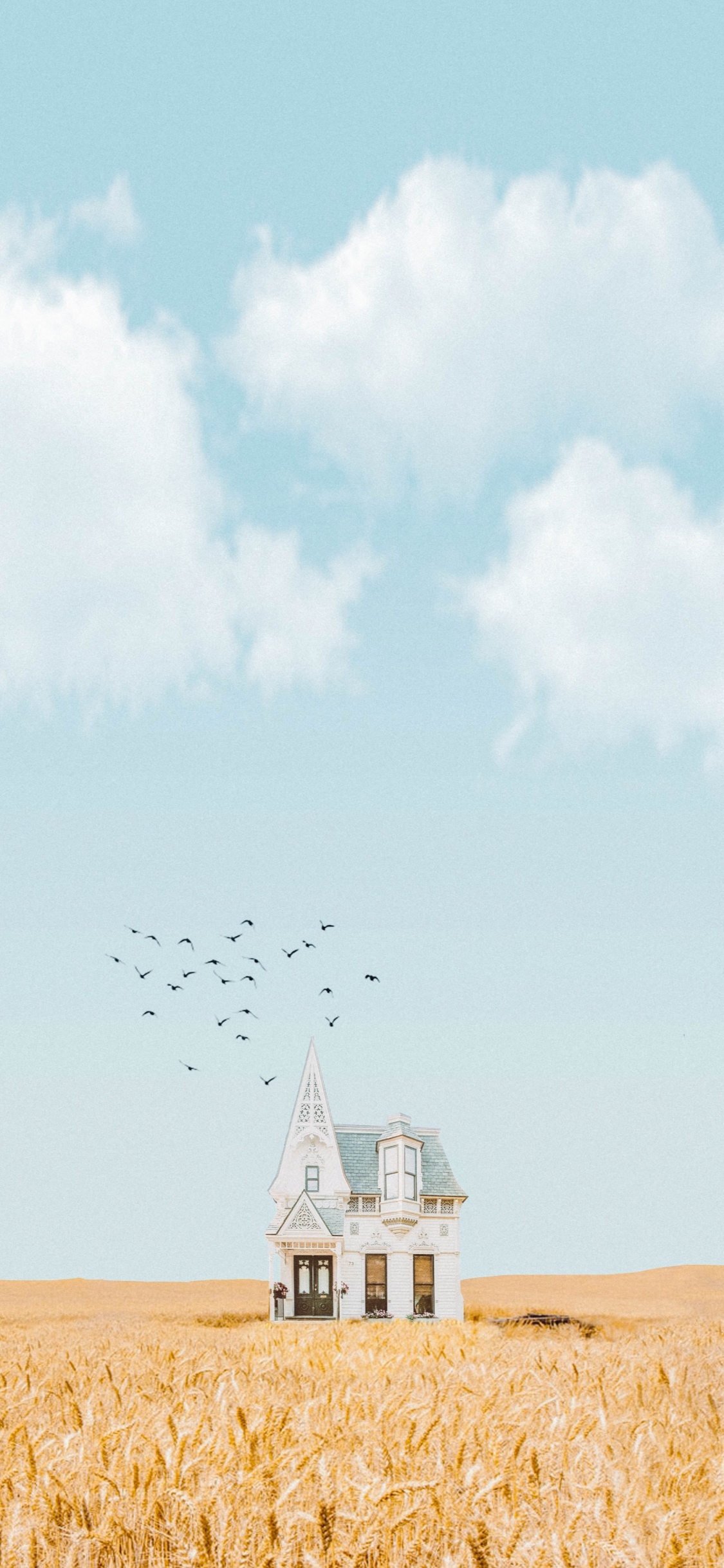 Обои Найл Хоран, Лирика, песня, облако, птица в разрешении 1125x2436