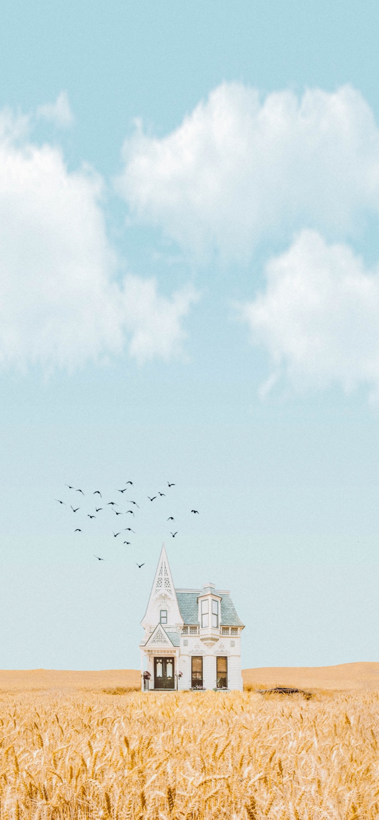 Обои Найл Хоран, Лирика, песня, облако, птица в разрешении 1242x2688