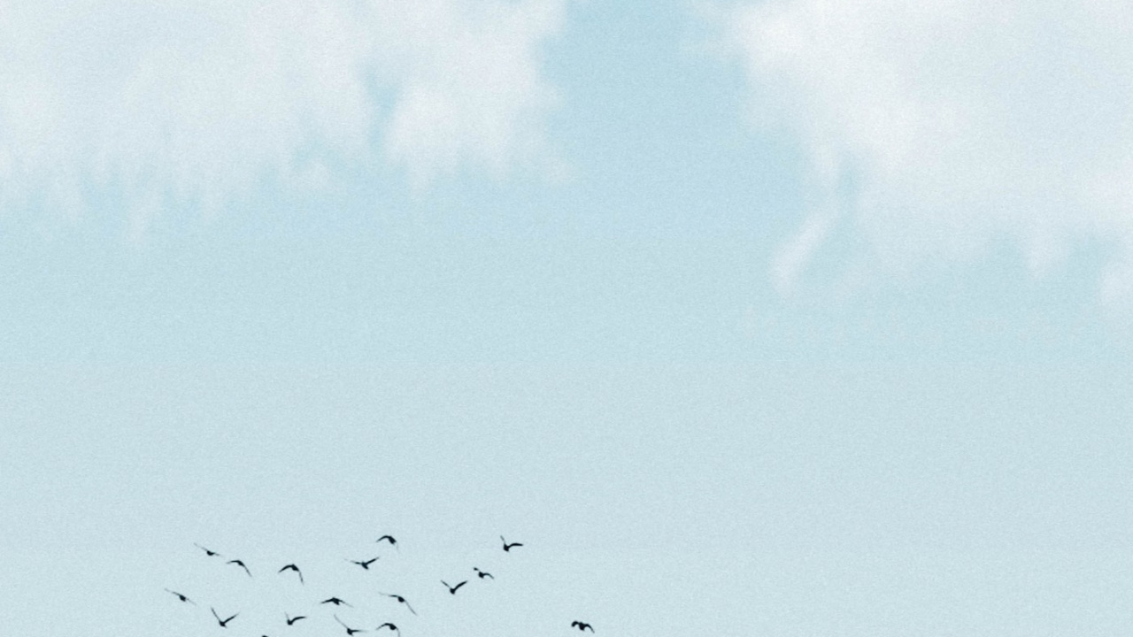 Обои Найл Хоран, Лирика, песня, облако, птица в разрешении 1280x720