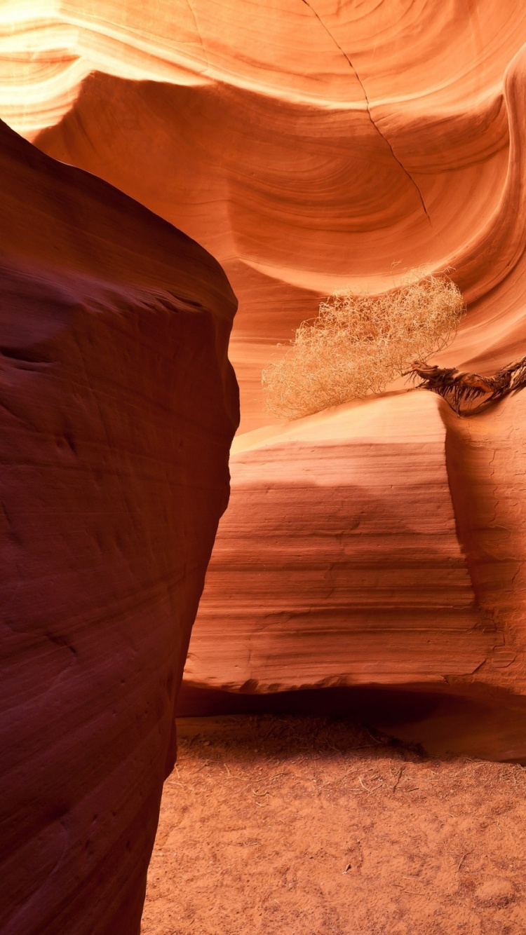 Обои каньон, каньон антилопы, формирование, Йеллоустонский Национальный парк, свет в разрешении 750x1334