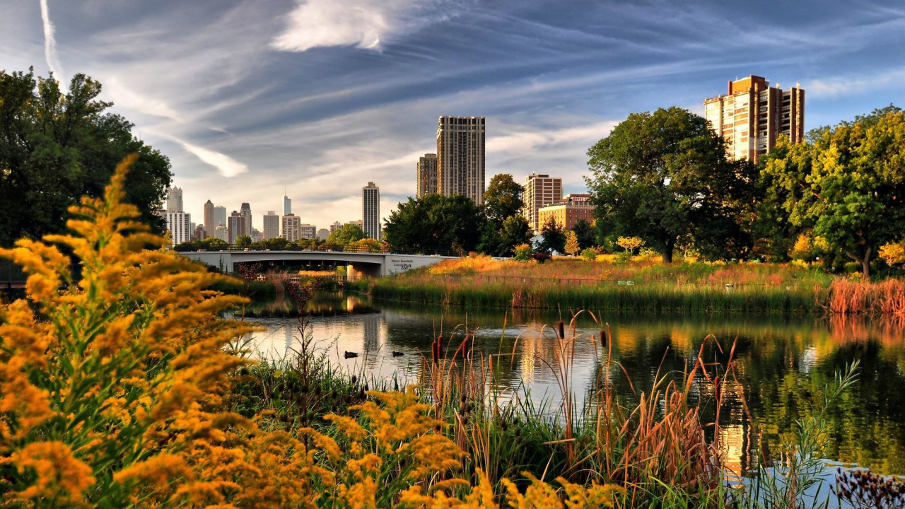 Обои природа, отражение, город, парк, Осенняя окраска листьев в разрешении 1280x720