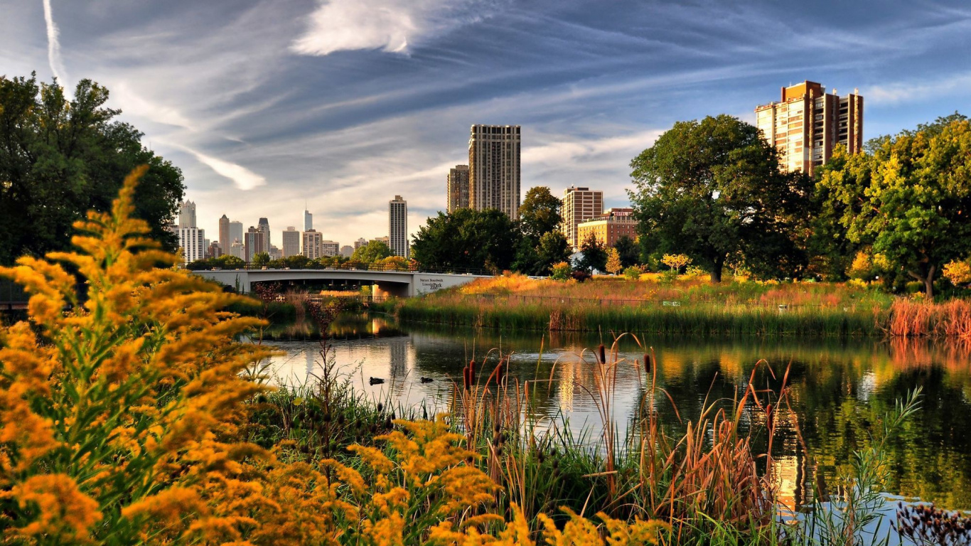 Обои природа, отражение, город, парк, Осенняя окраска листьев в разрешении 1366x768