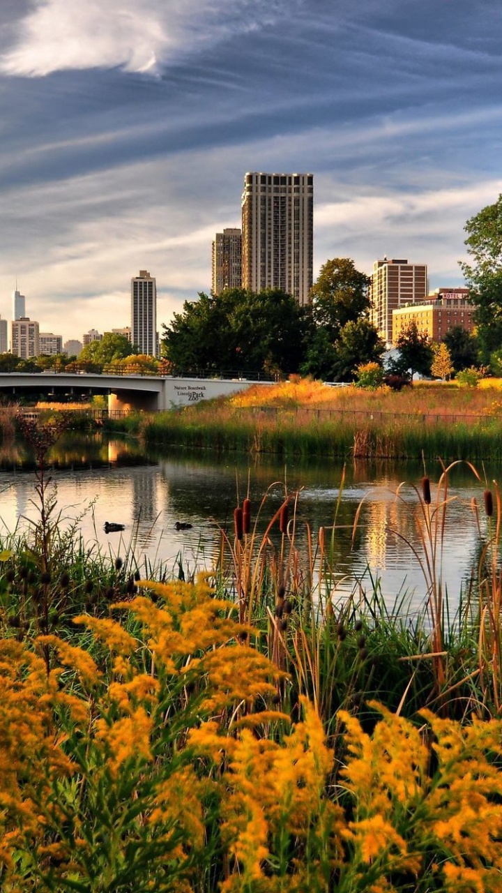 Обои природа, отражение, город, парк, Осенняя окраска листьев в разрешении 720x1280