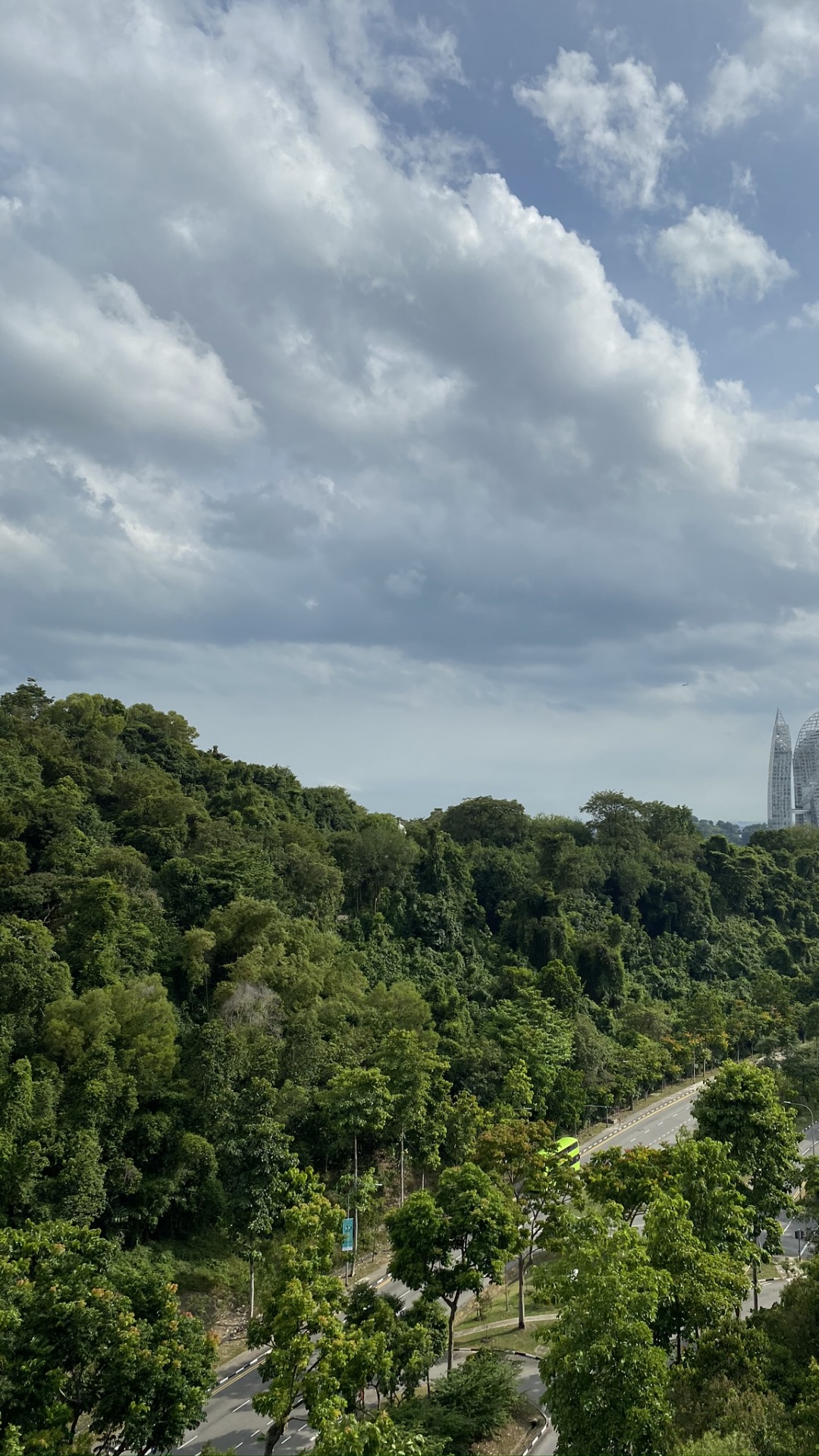 Обои растительность, пейзажи гор, биом, кустарник, природа в разрешении 1080x1920