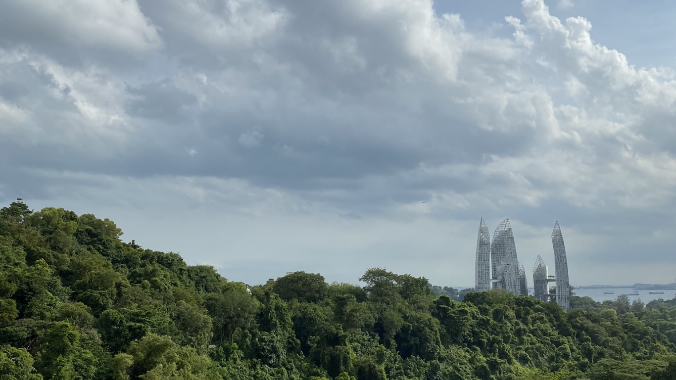 Обои растительность, пейзажи гор, биом, кустарник, природа в разрешении 1366x768