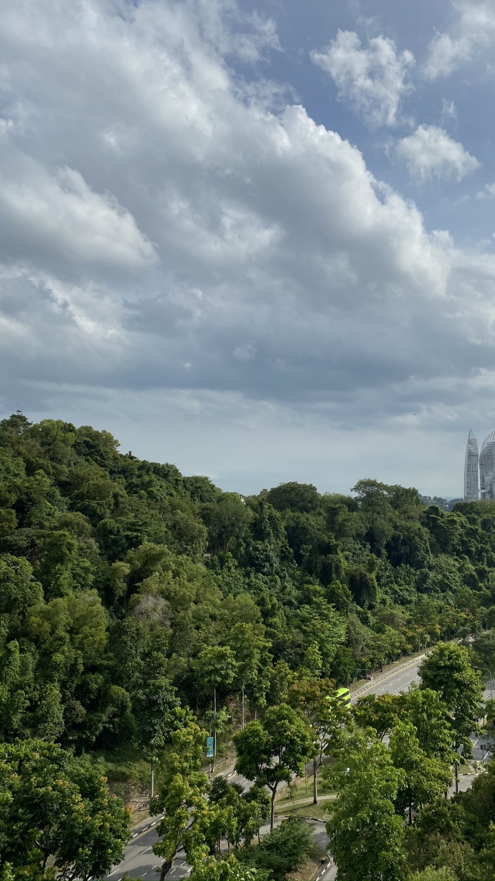 Обои растительность, пейзажи гор, биом, кустарник, природа в разрешении 720x1280