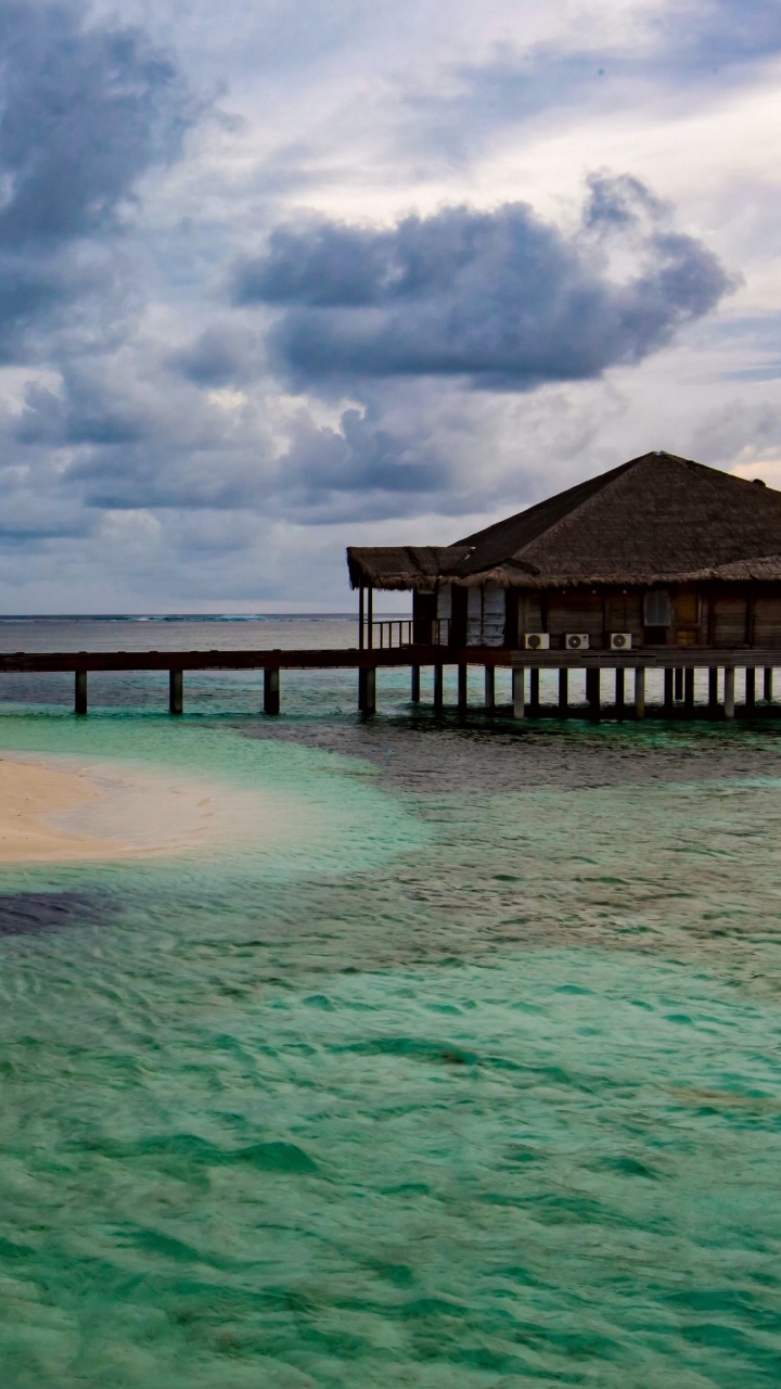 Обои море, пляж, тропическая зона, берег, океан в разрешении 720x1280