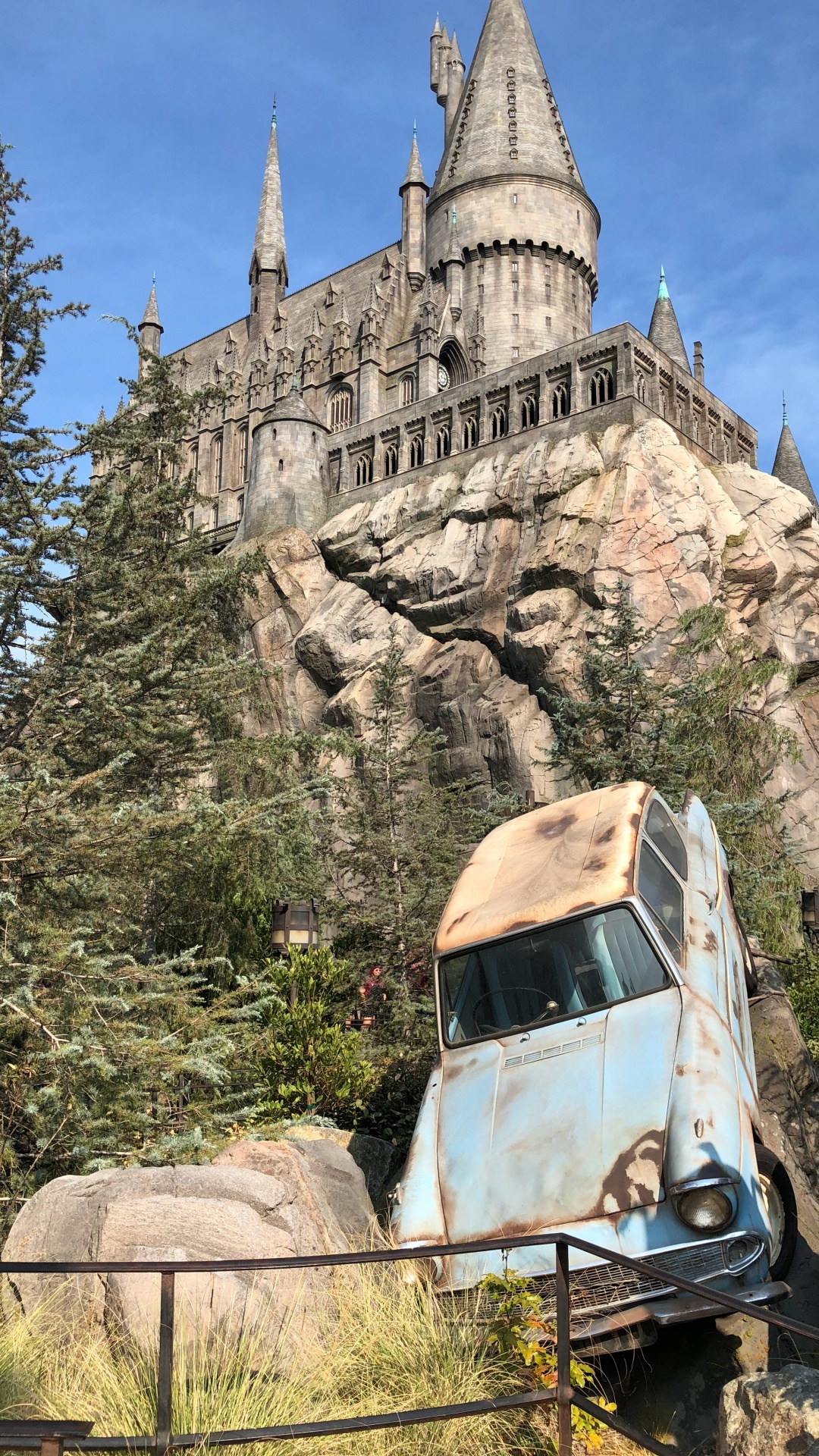 Обои ориентир, растение, здание, растительность, коренная порода в разрешении 1080x1920