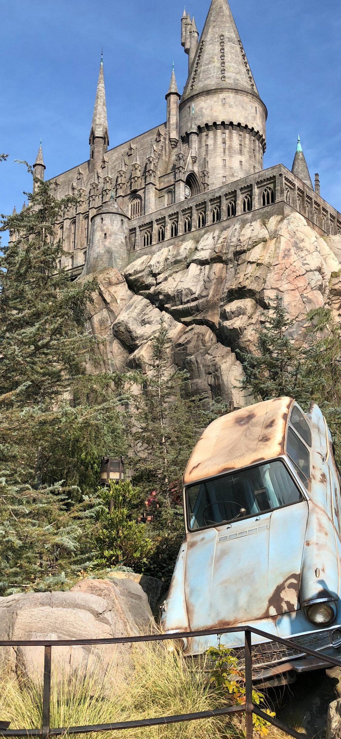 Обои ориентир, растение, здание, растительность, коренная порода в разрешении 1125x2436