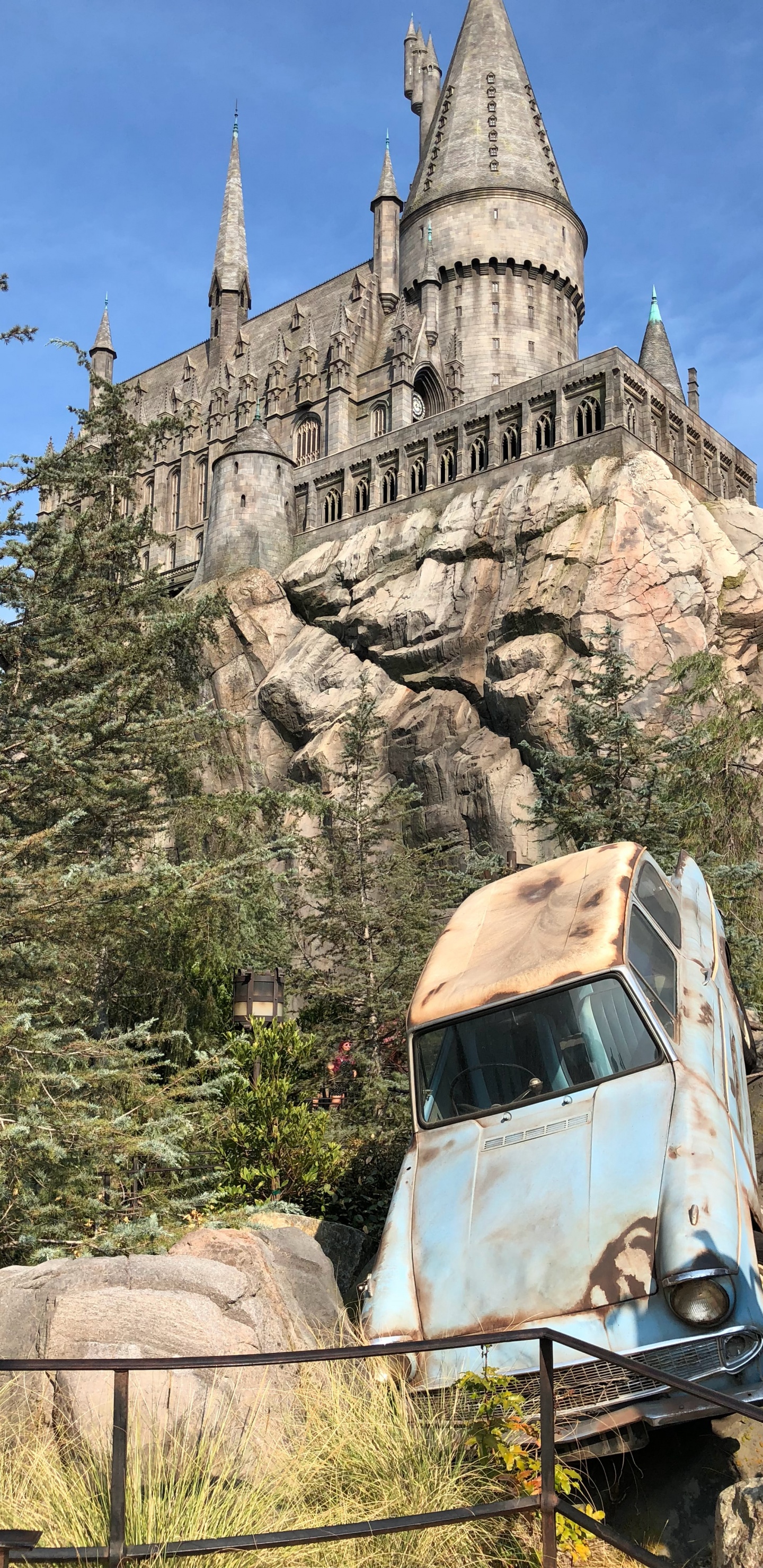 Обои ориентир, растение, здание, растительность, коренная порода в разрешении 1440x2960