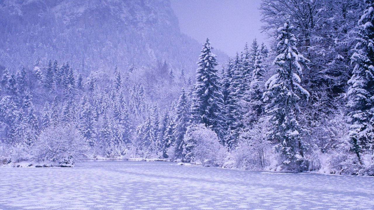 Обои аниме, снег, зима, природа, дерево в разрешении 1280x720