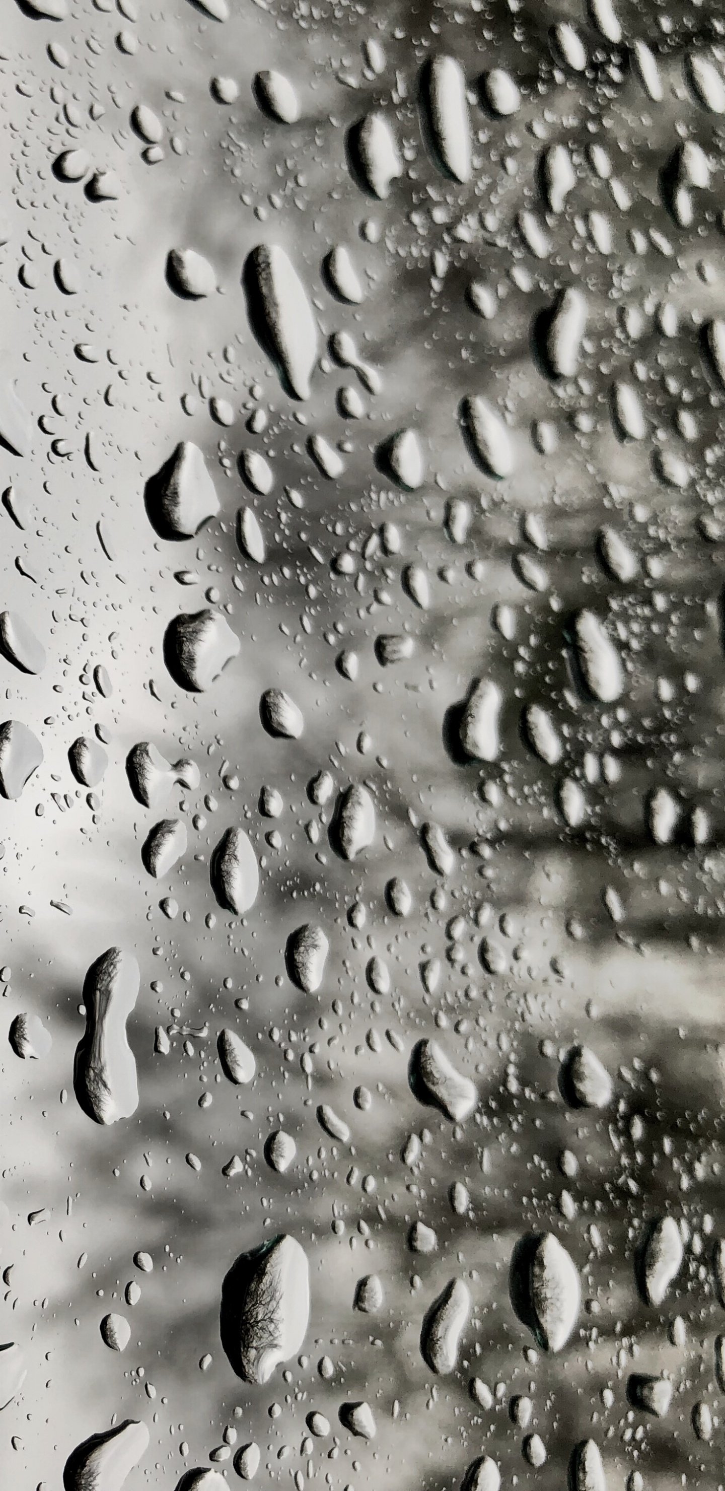 Обои дождь, падение, окно, вода, влага в разрешении 1440x2960