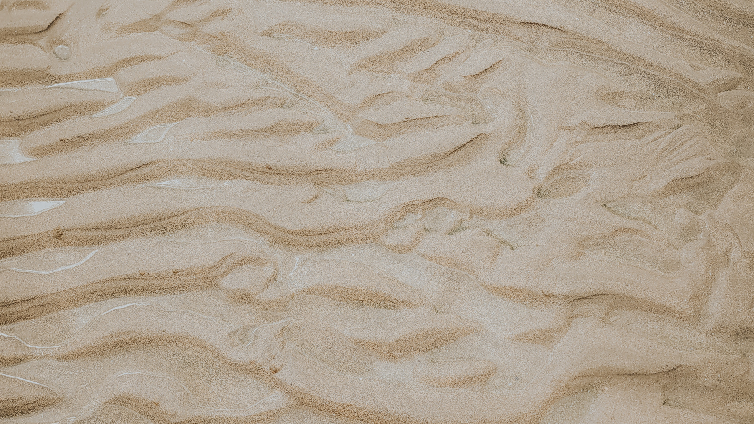 Обои цвет беж, песок, материал, экорегион, древесина в разрешении 2560x1440