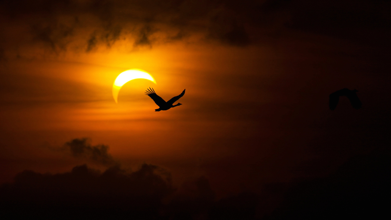 Обои солнце, атмосфера, восход солнца, картинка, дневное время в разрешении 1280x720