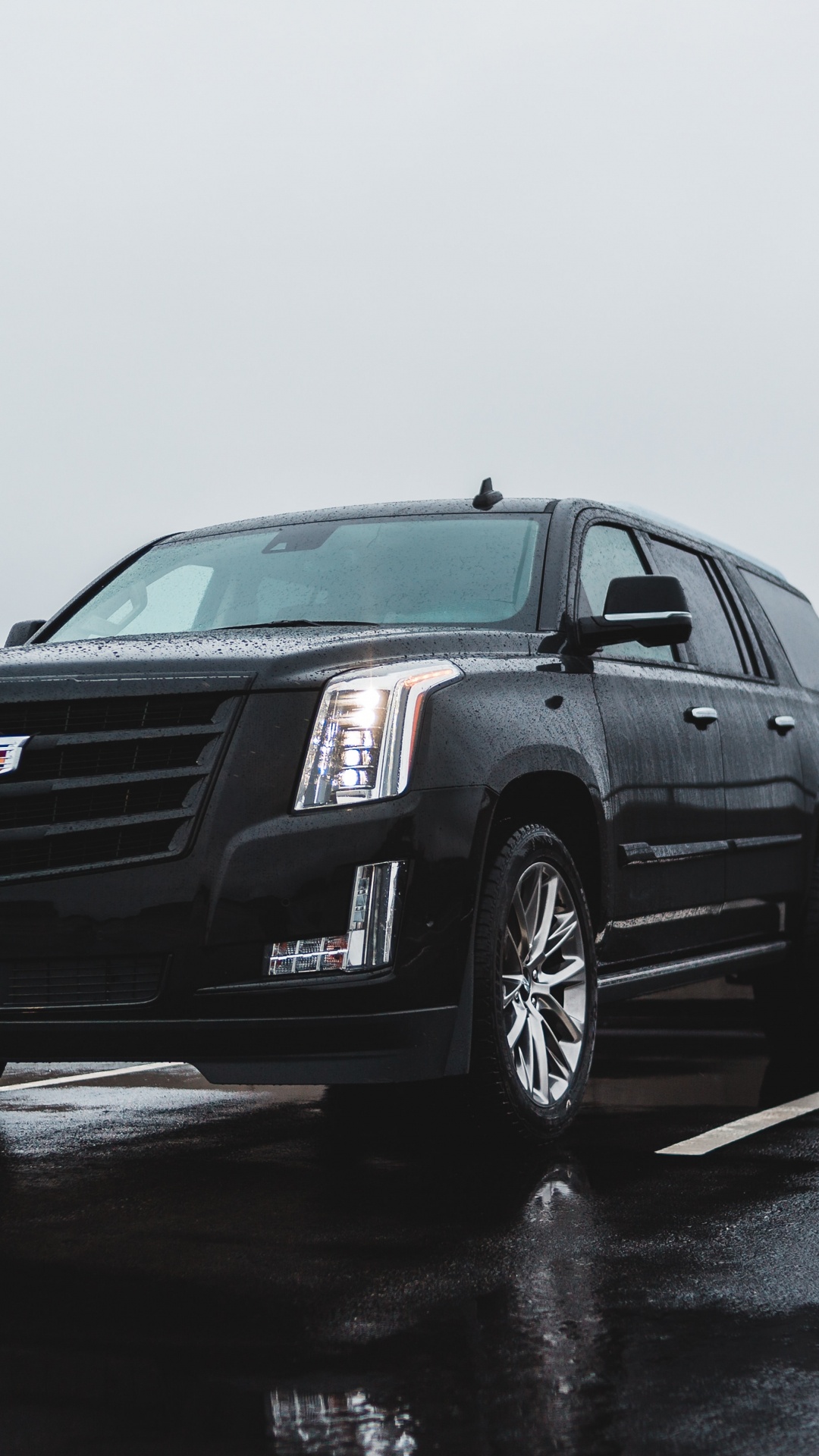 Обои бампер, Кадиллак XTS, Король, Кадиллак CTS-V в, решетка в разрешении 1080x1920