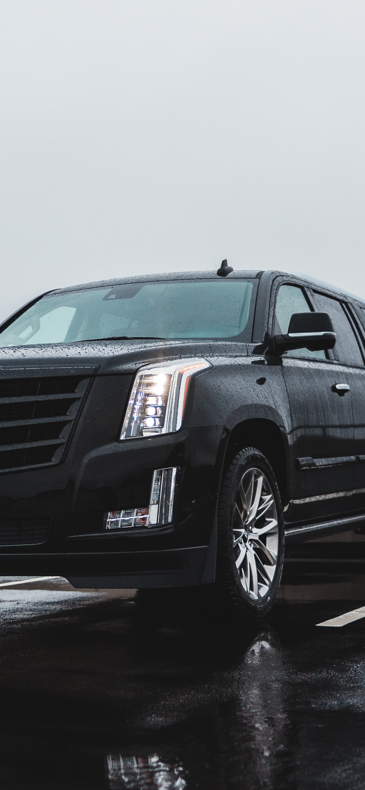 Обои бампер, Кадиллак XTS, Король, Кадиллак CTS-V в, решетка в разрешении 1242x2688