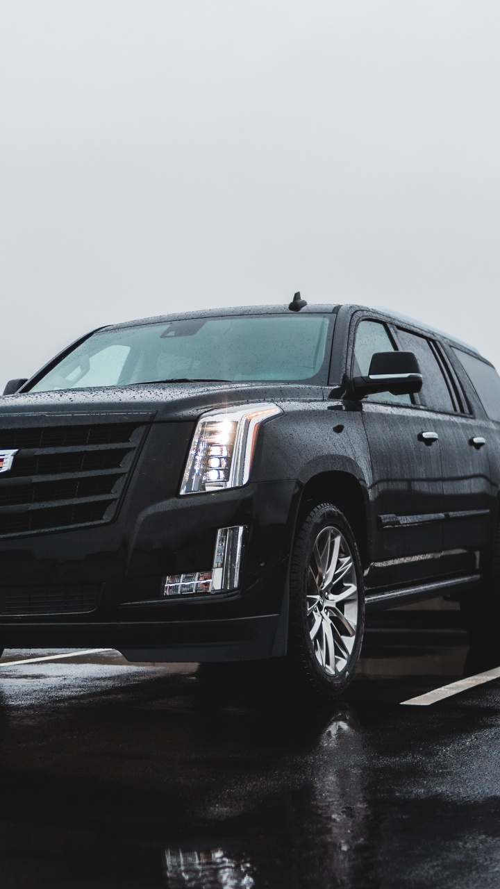 Обои бампер, Кадиллак XTS, Король, Кадиллак CTS-V в, решетка в разрешении 720x1280