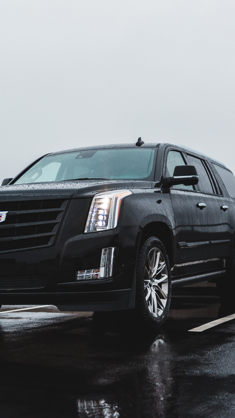 Обои бампер, Кадиллак XTS, Король, Кадиллак CTS-V в, решетка в разрешении 750x1334