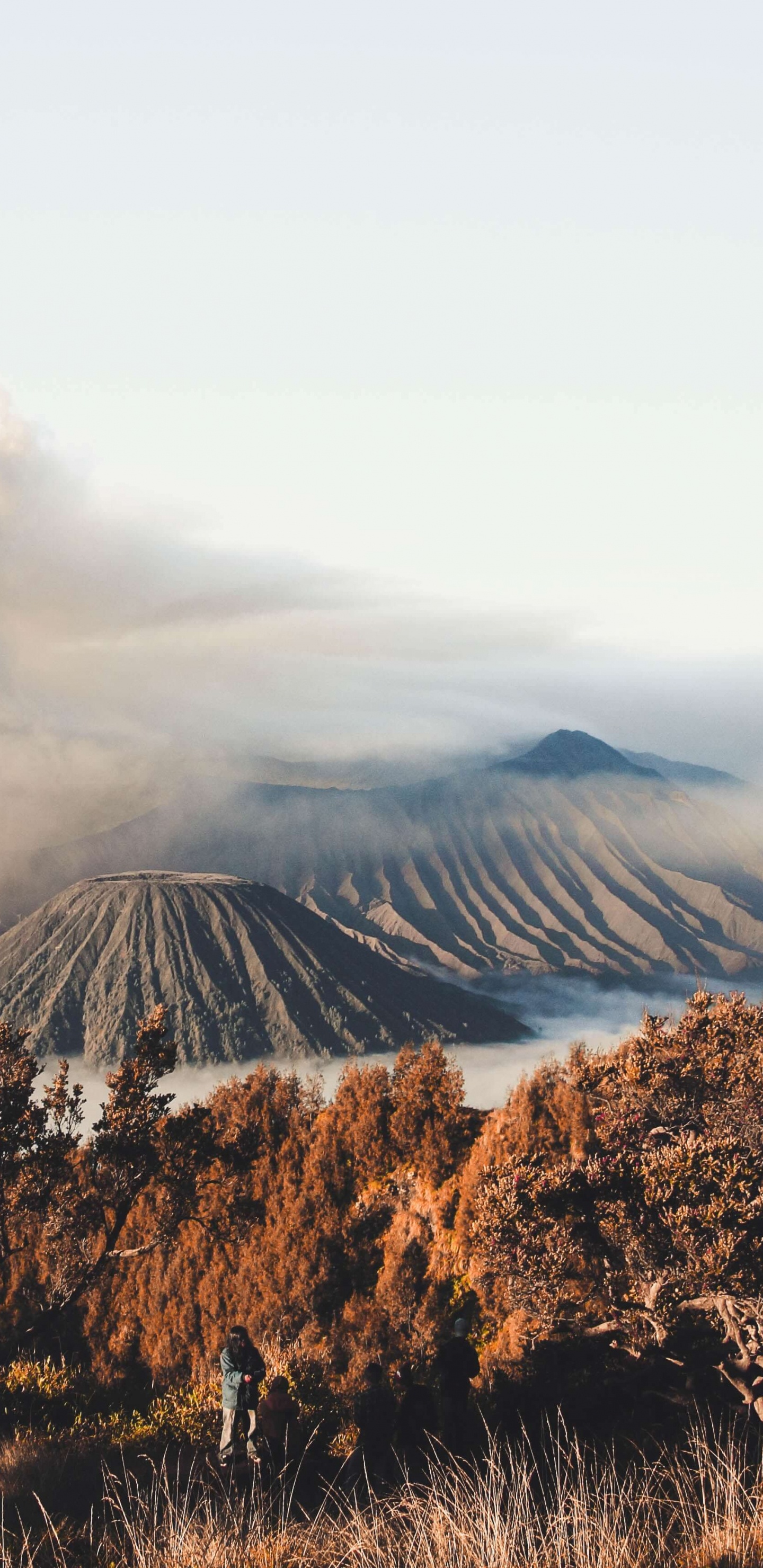 Обои Гора Бромо, Иджен, вулкан, гора, вулканического рельефа в разрешении 1440x2960