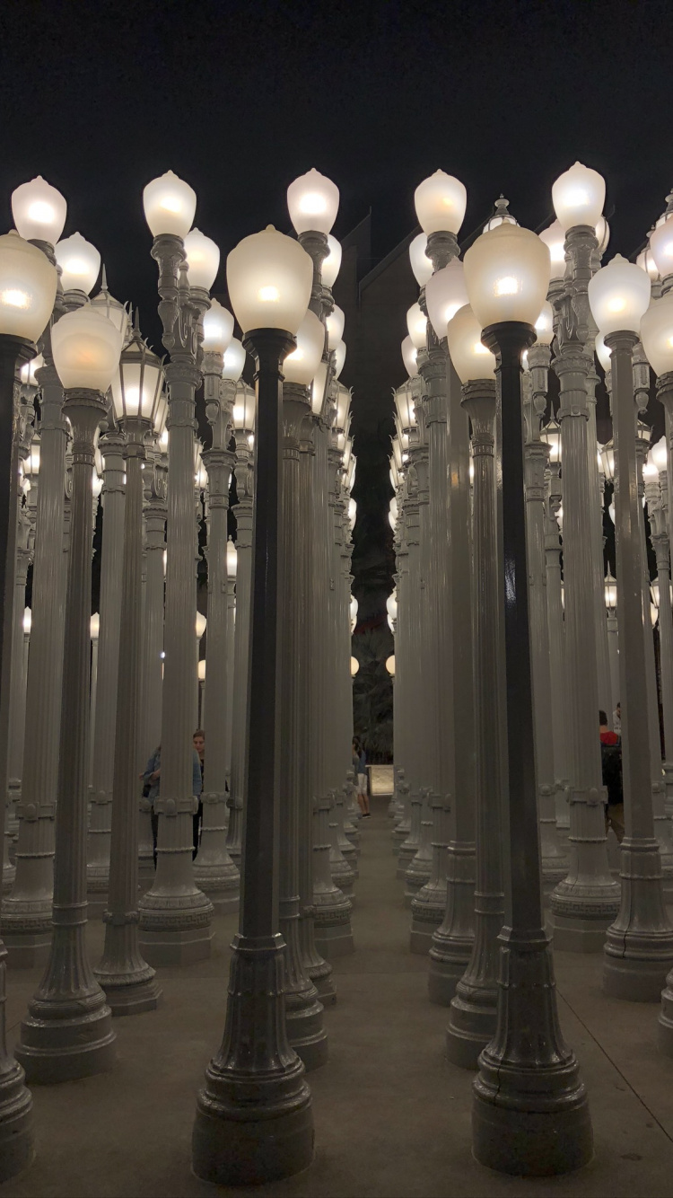 Обои Голливуд, столбец, осветительная арматура, уличный фонарь, физика в разрешении 750x1334