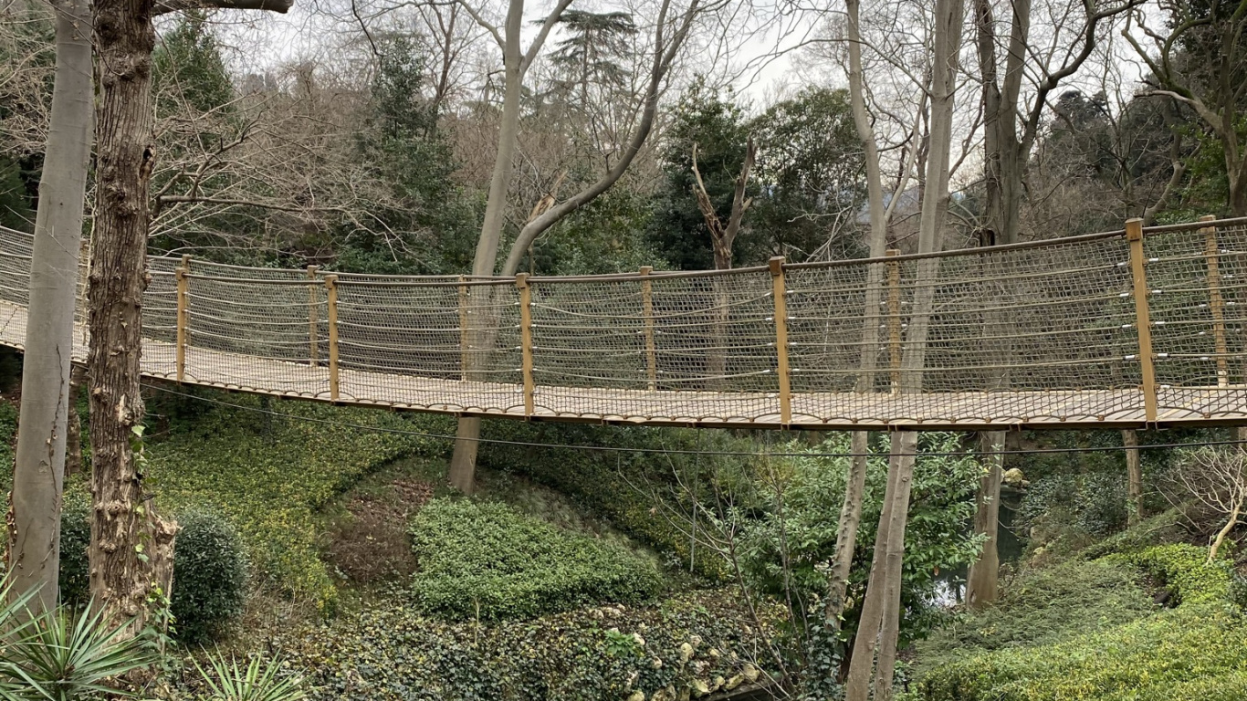 Обои вода, биология, наука, растение, дерево в разрешении 1366x768