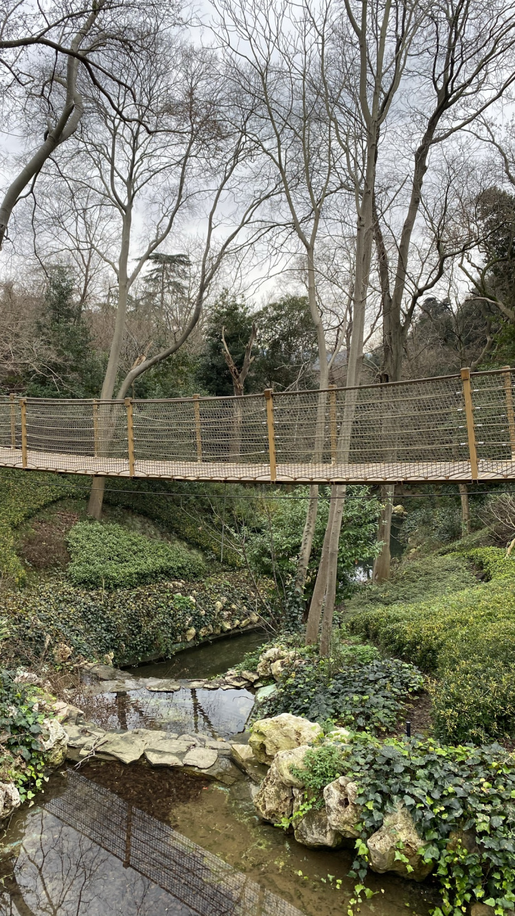 Обои вода, биология, наука, растение, дерево в разрешении 750x1334