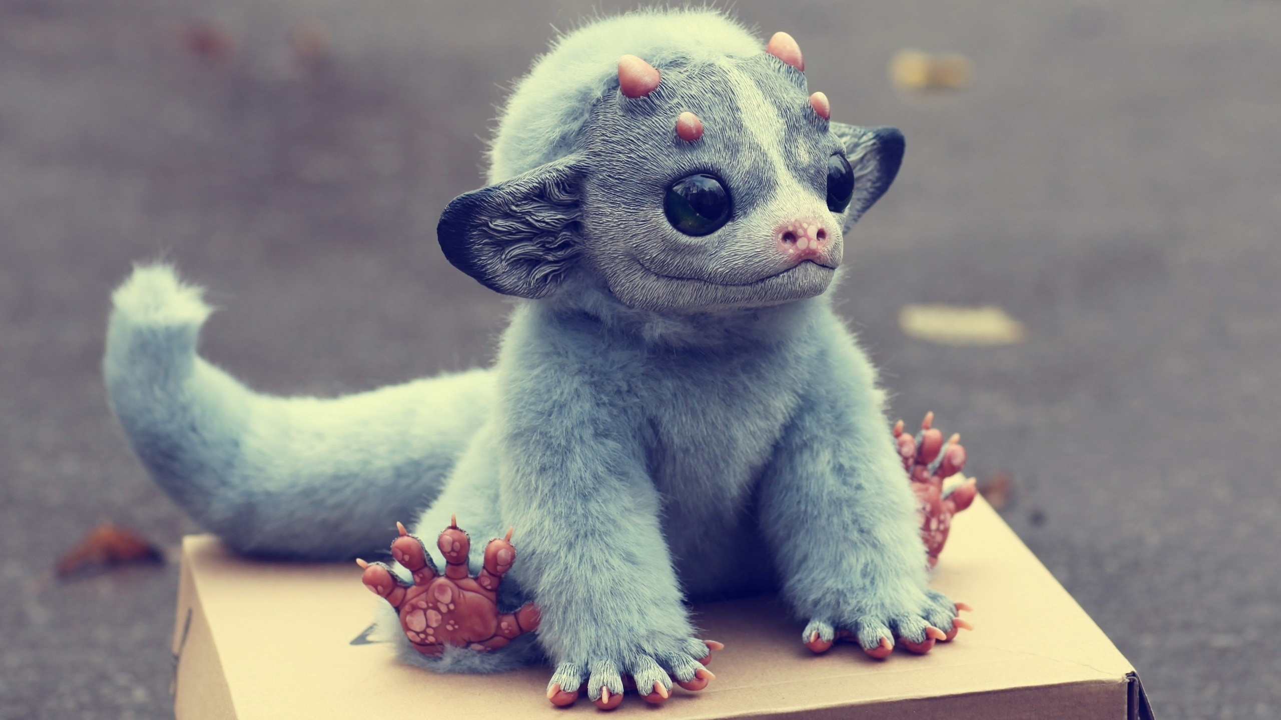 Обои морда, мех, мордочка, животный мир, привлекательность в разрешении 2560x1440