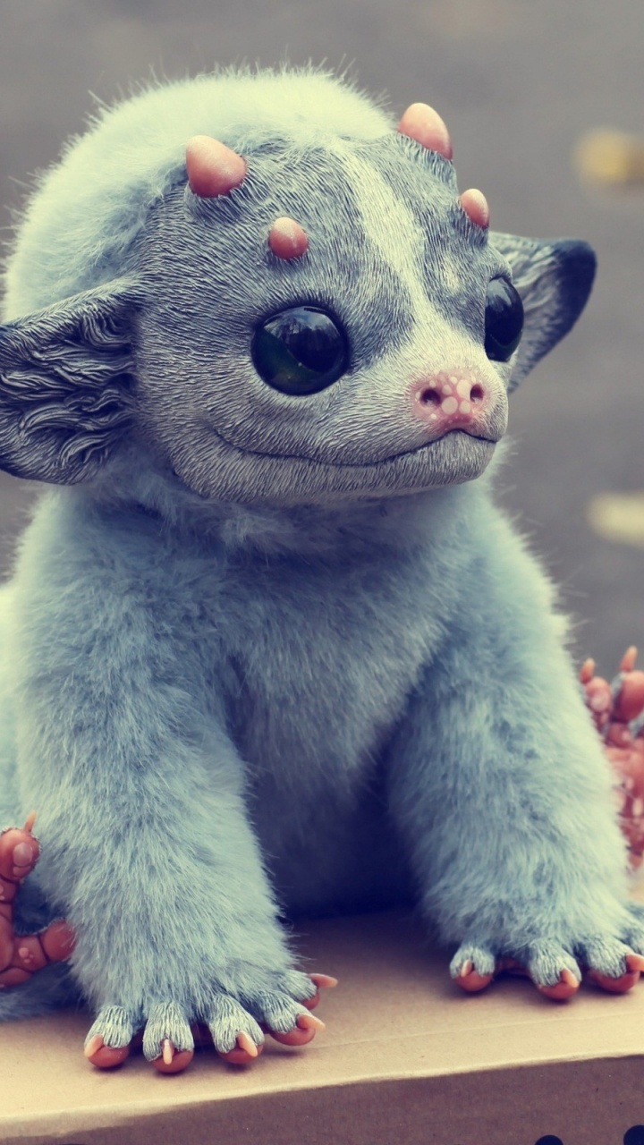 Обои морда, мех, мордочка, животный мир, привлекательность в разрешении 720x1280