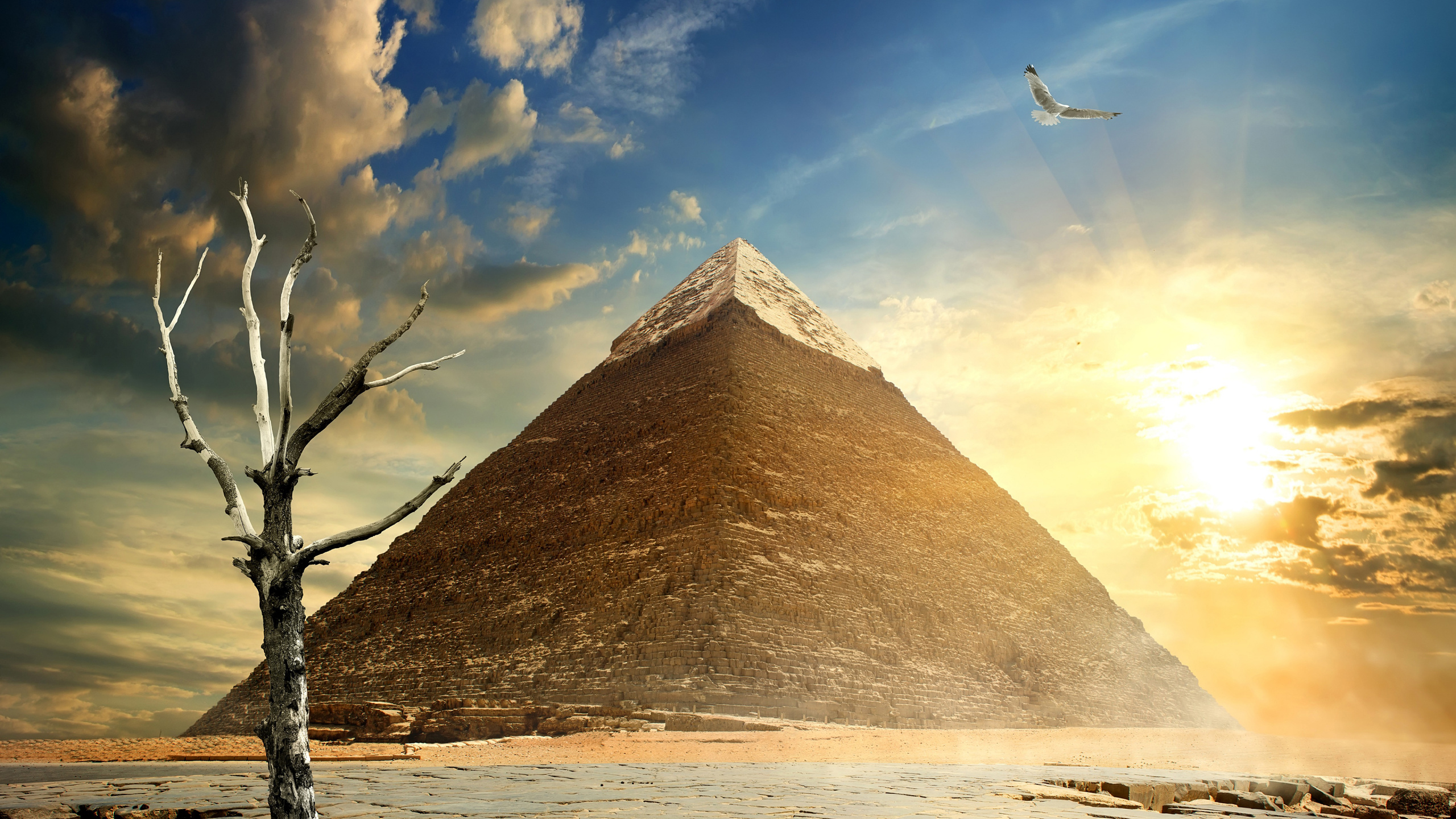 Обои Пирамида Хефрена, Великий Сфинкс Гизы, Пирамида Солнца, Саккара, египетская пирамида в разрешении 2560x1440