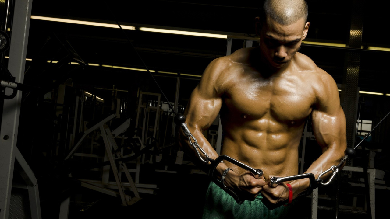 Обои физическая подготовка, мышца, Бодибилдинг, культурист, рука в разрешении 1280x720