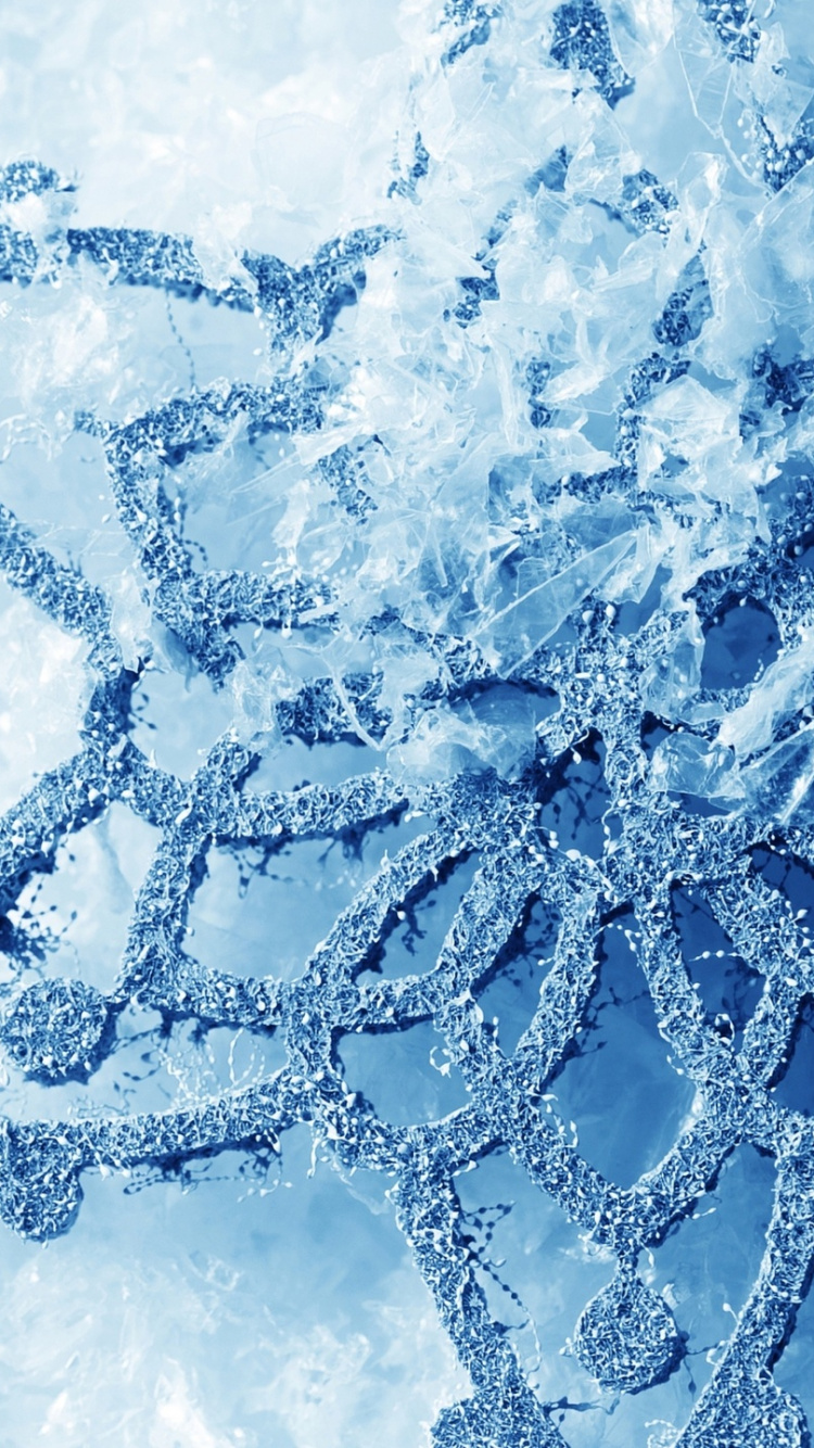 Обои синий, вода, замораживание, зима, мороз в разрешении 750x1334