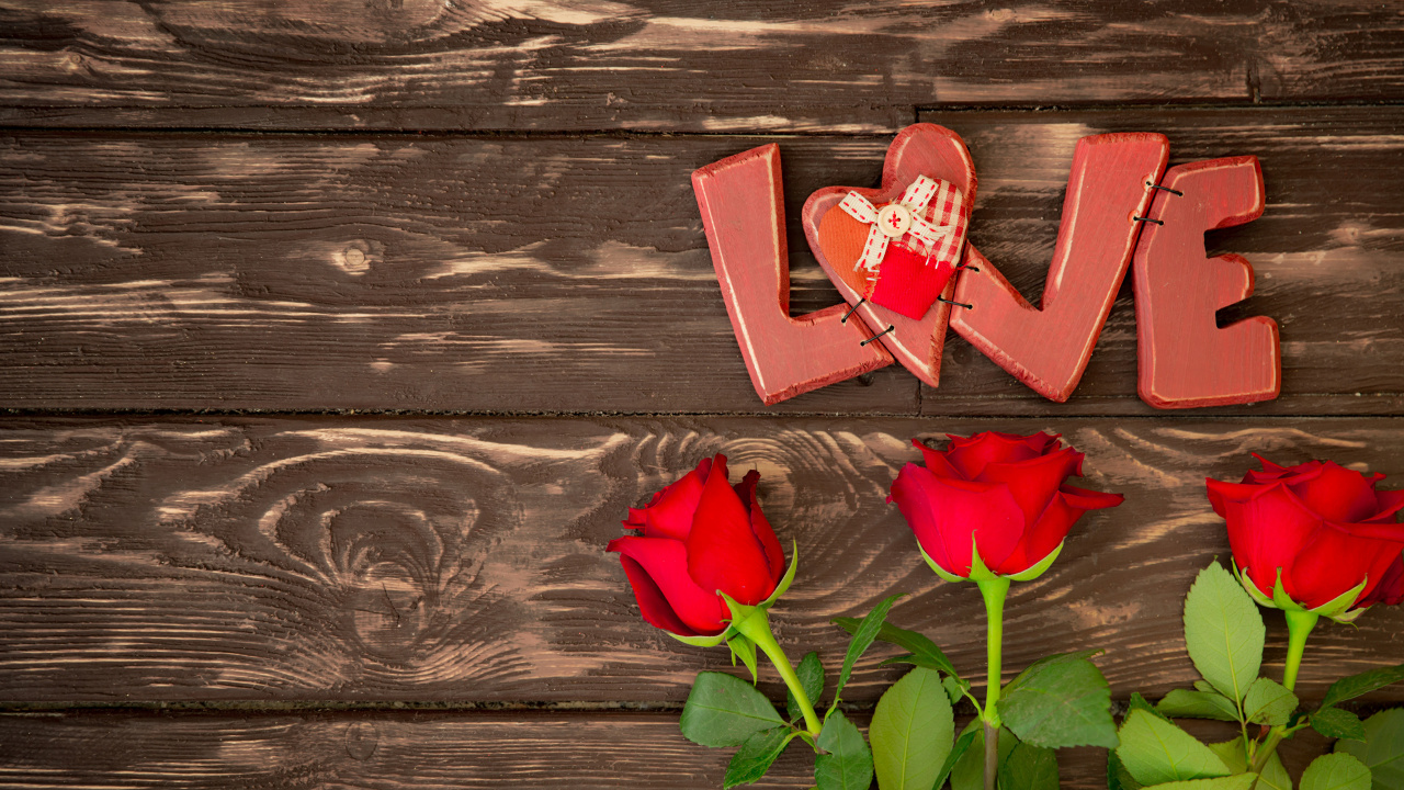 Обои красный цвет, цветок, лепесток, растение, любовь в разрешении 1280x720