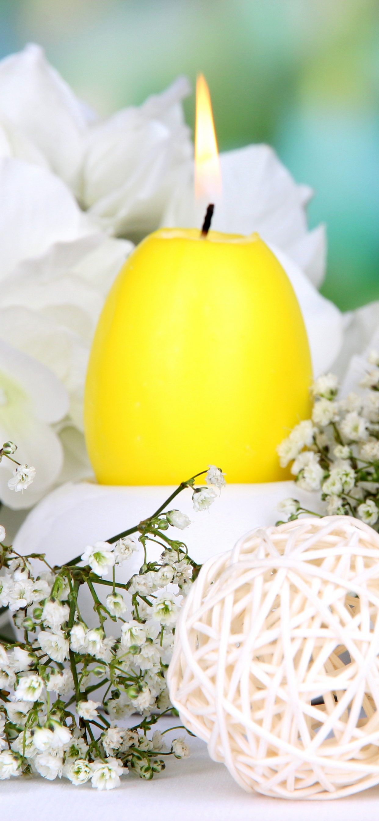 Обои пасхальное яйцо, желтый, пасха, яйцо, цветок в разрешении 1242x2688