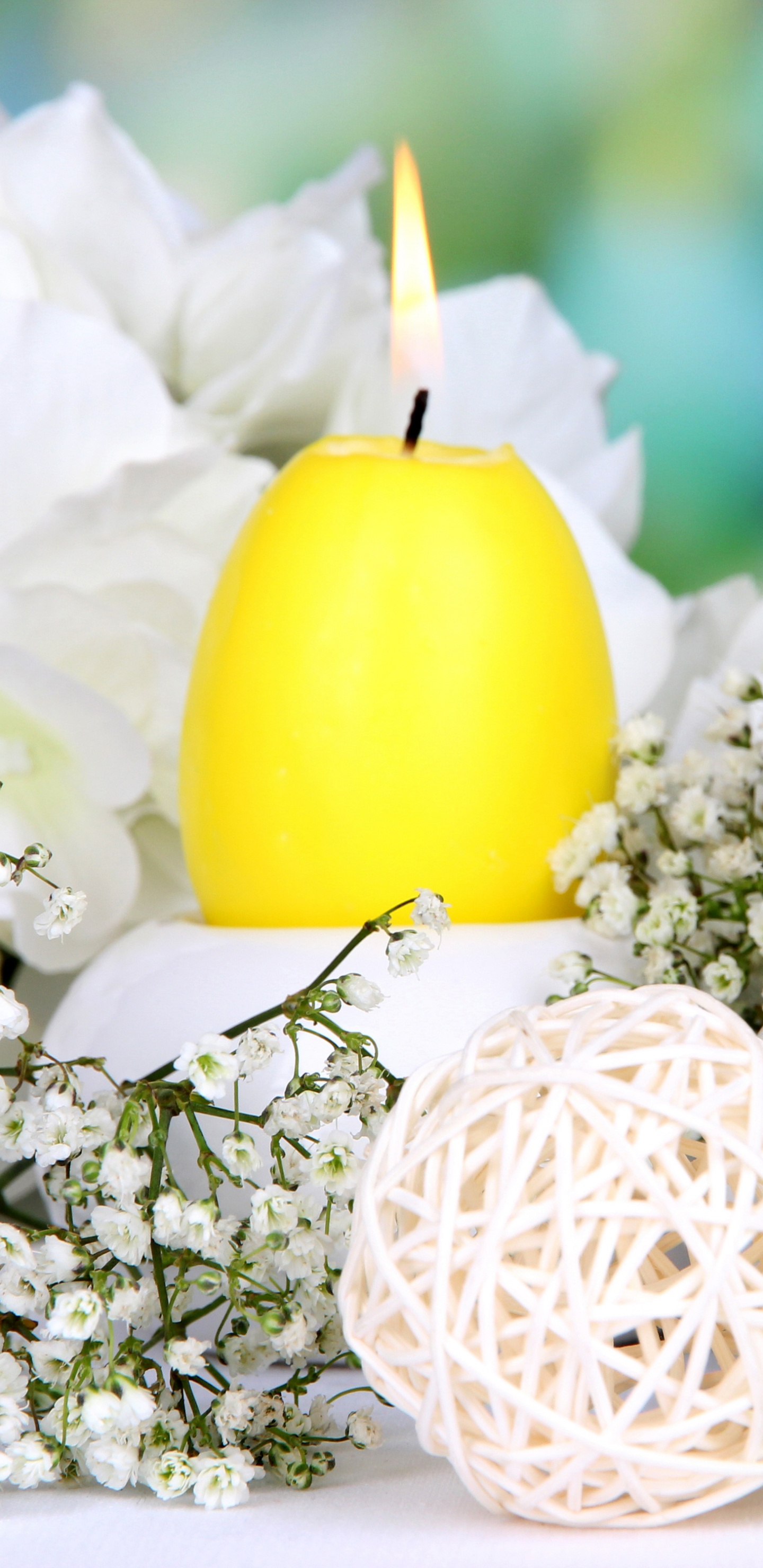 Обои пасхальное яйцо, желтый, пасха, яйцо, цветок в разрешении 1440x2960