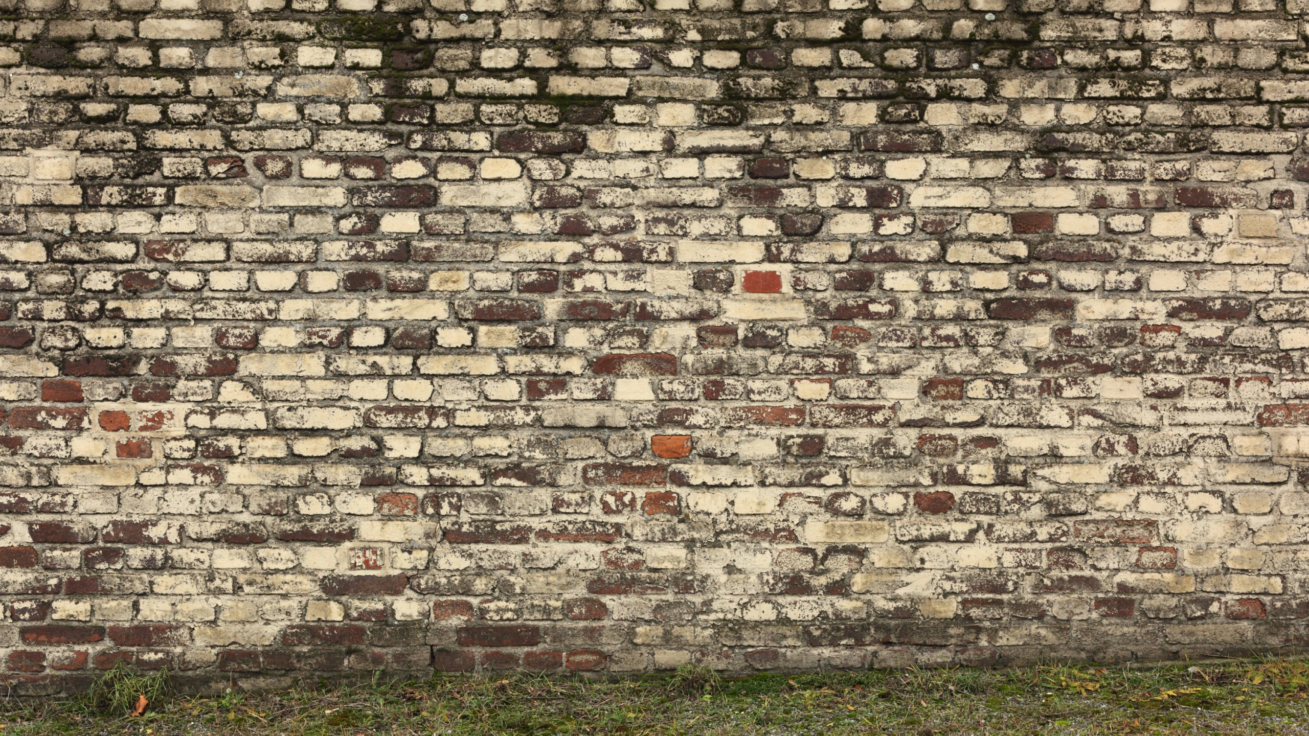 Обои стена, каменная стена, кирпич, кирпичная кладка, наложение текстуры в разрешении 2560x1440