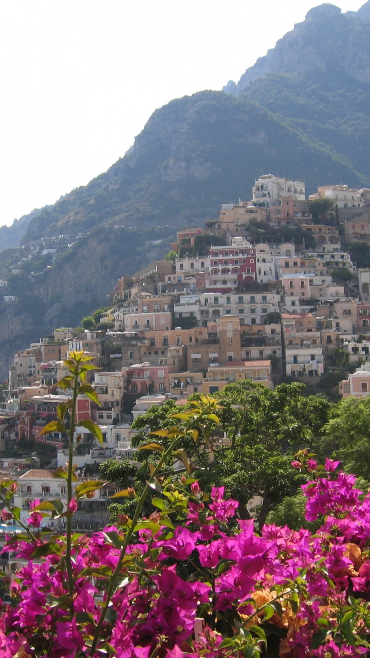 Обои Позитано, прибежище, Отель Бугенвиль Позитано, цветок, туризм в разрешении 720x1280