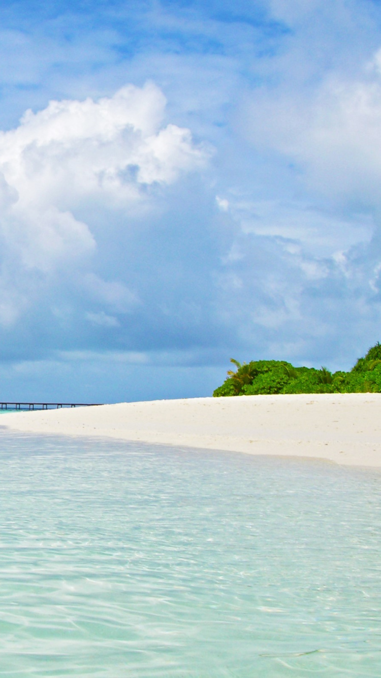 Обои Aurosonic, транс-музыка, Вокал транс, море, океан в разрешении 750x1334