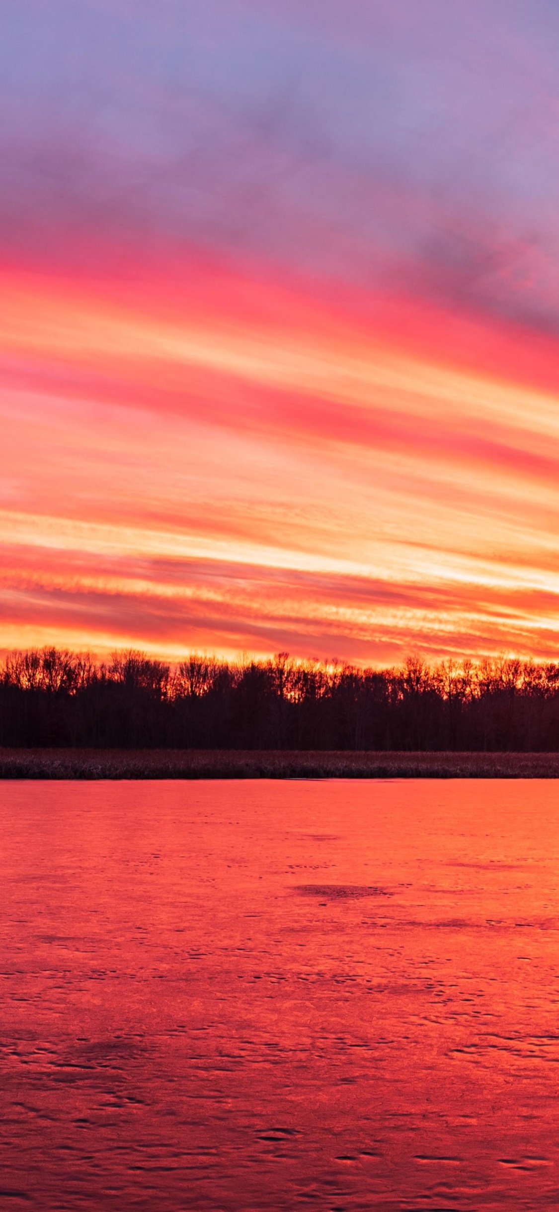 Обои iMac, макбук Эйр, Apple МасВоок Pro, природа, закат в разрешении 1125x2436