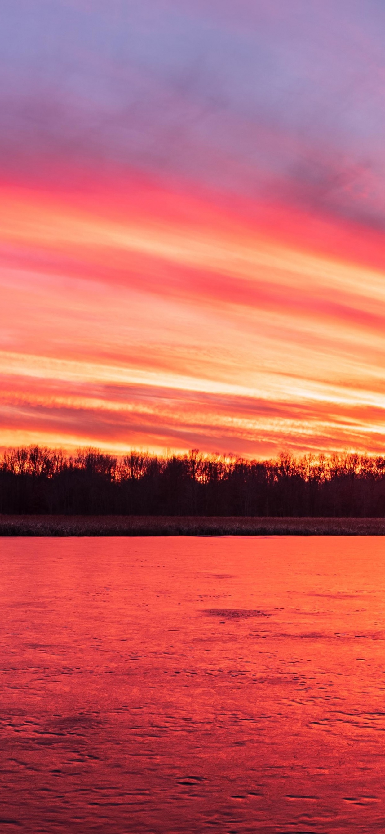 Обои iMac, макбук Эйр, Apple МасВоок Pro, природа, закат в разрешении 1242x2688