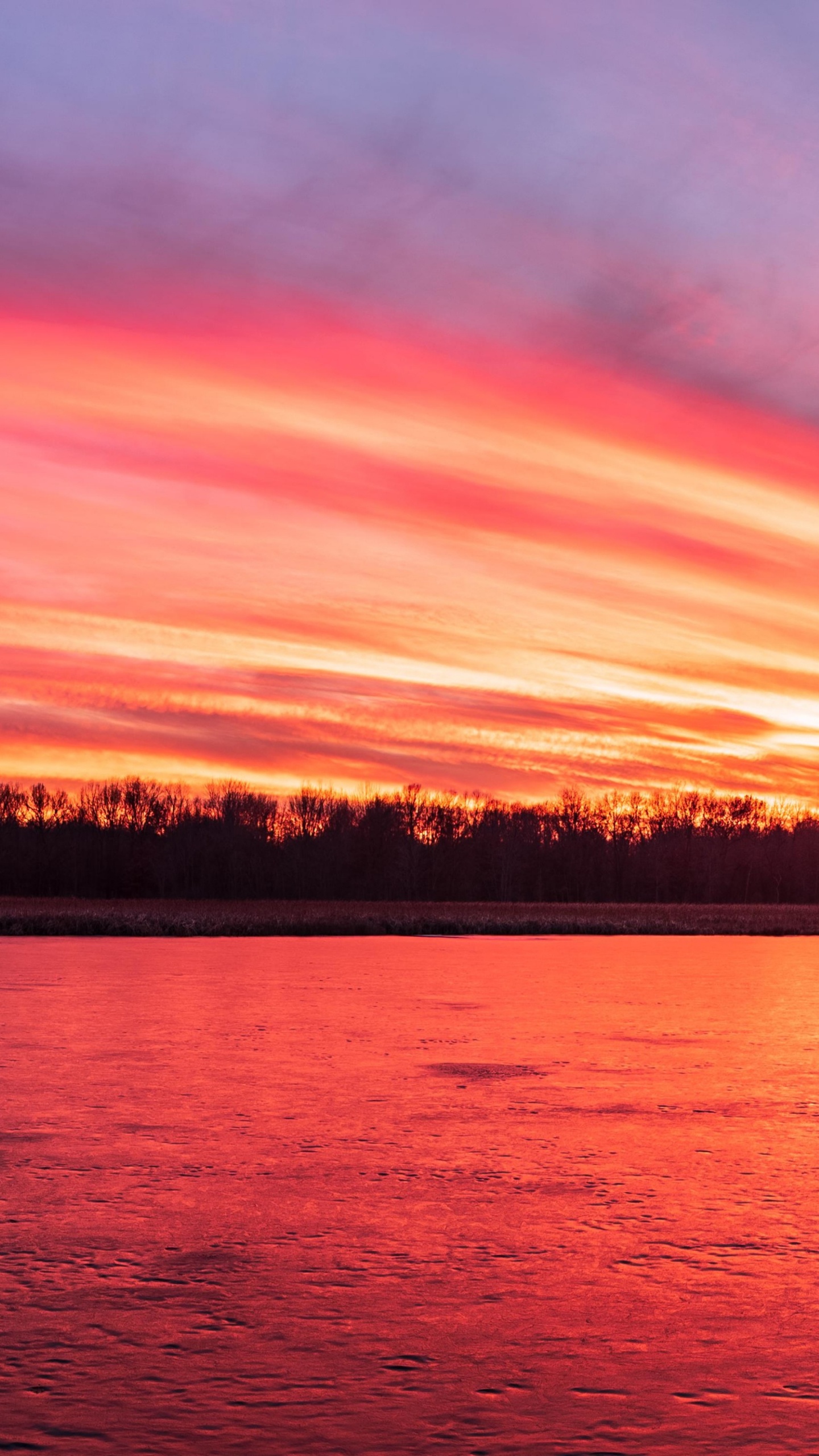 Обои iMac, макбук Эйр, Apple МасВоок Pro, природа, закат в разрешении 1440x2560