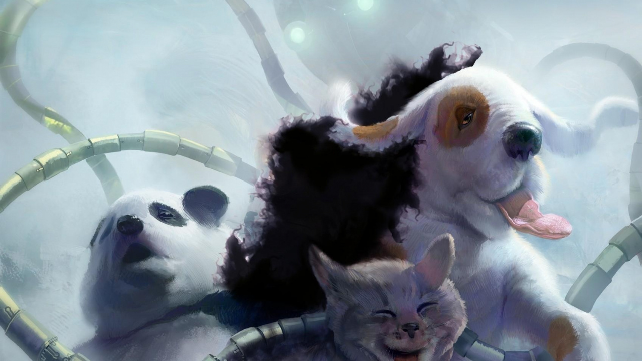 Обои гигантская панда, Красная панда, морда, Босс Волк, собака в разрешении 1280x720