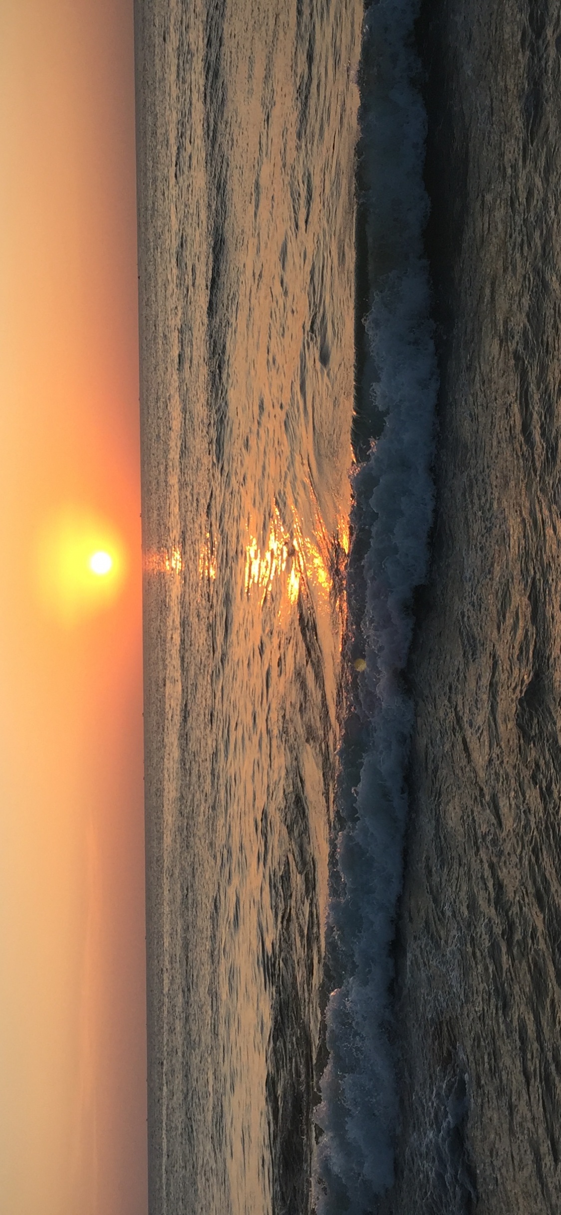 Обои древесина, водоем, атмосфера, солнце, закат в разрешении 1125x2436