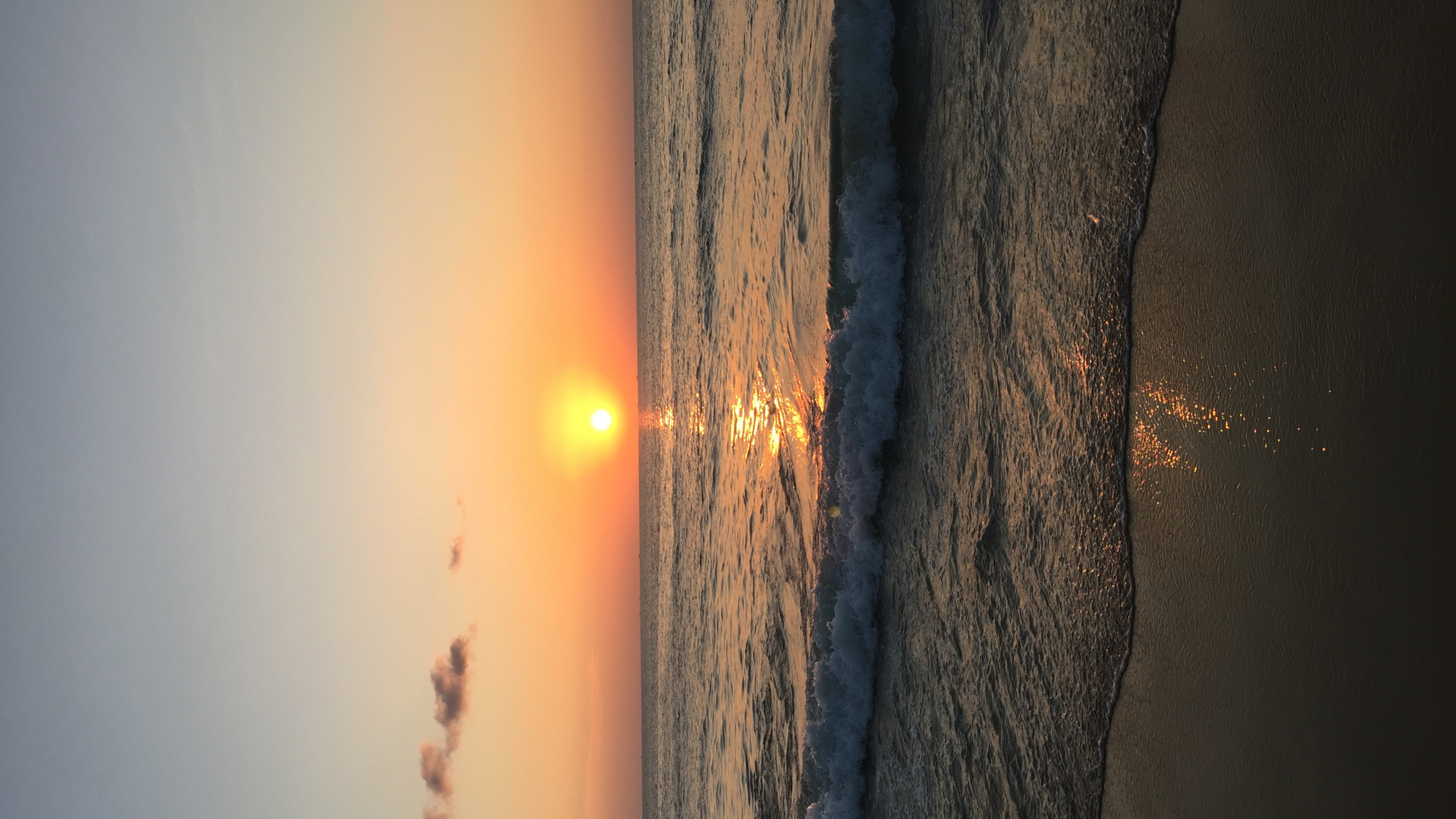 Обои древесина, водоем, атмосфера, солнце, закат в разрешении 2560x1440