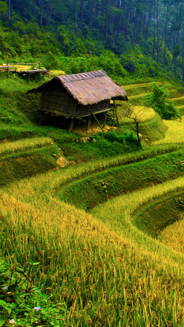 Обои горная станция, терраса, нагорье, природа, природный ландшафт в разрешении 750x1334