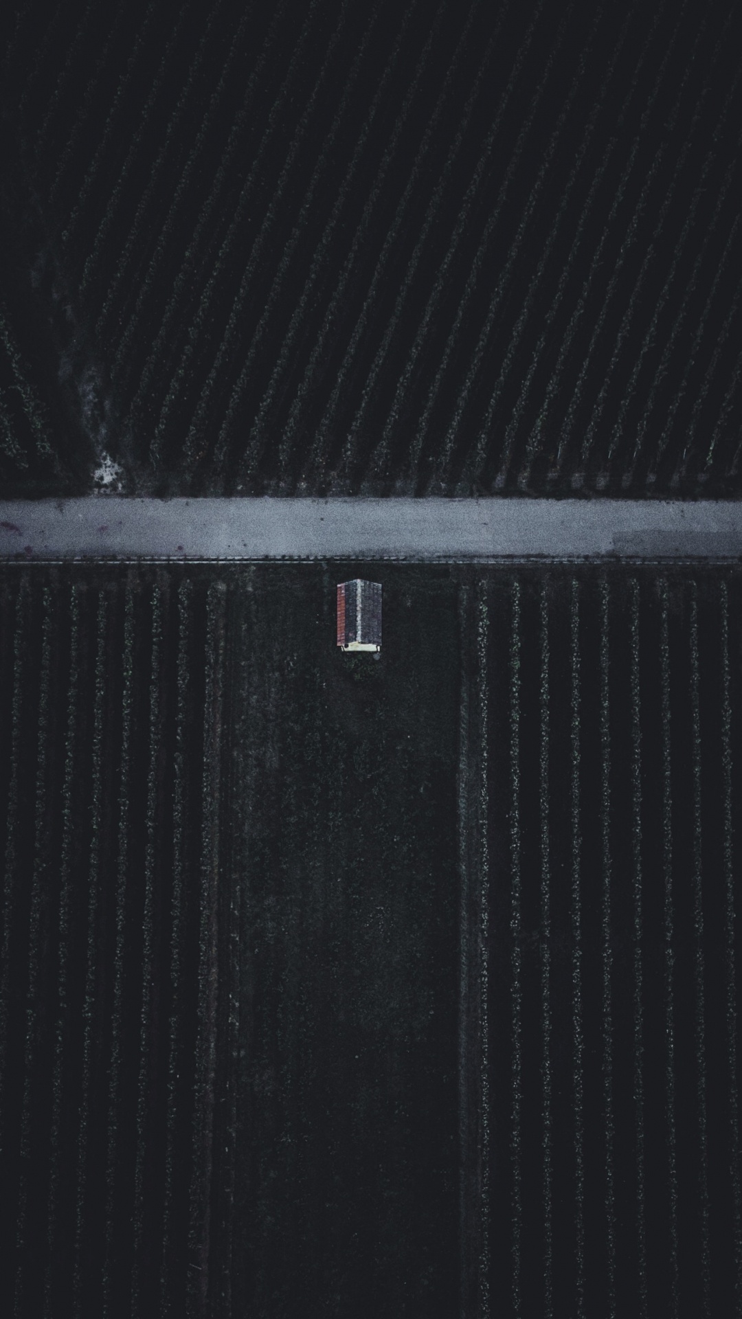 Обои апрель, декабрь, НьюЙорк, январь, свет в разрешении 1080x1920