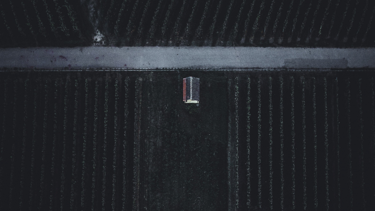 Обои апрель, декабрь, НьюЙорк, январь, свет в разрешении 1280x720