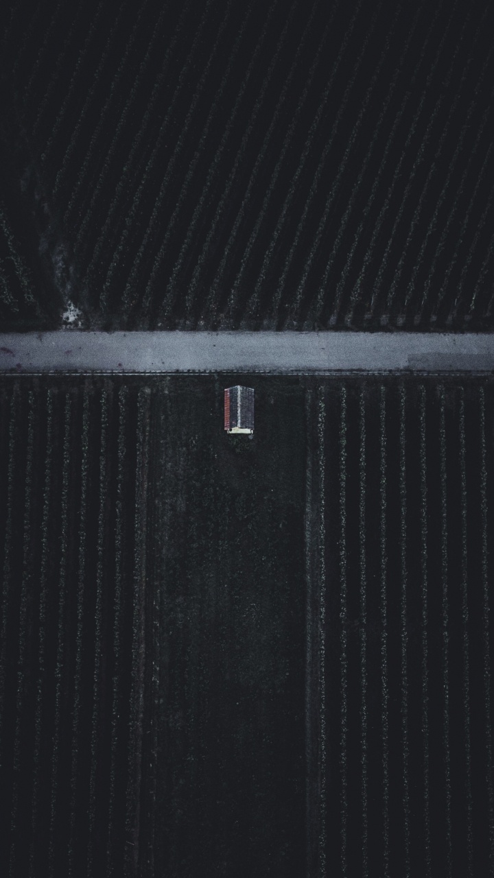 Обои апрель, декабрь, НьюЙорк, январь, свет в разрешении 720x1280