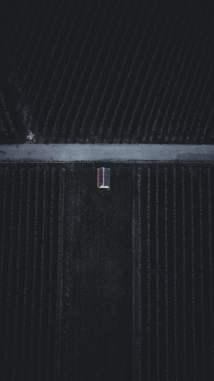 Обои апрель, декабрь, НьюЙорк, январь, свет в разрешении 750x1334